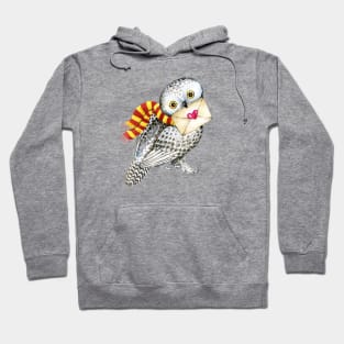 Owl with love letter, i love you Hoodie